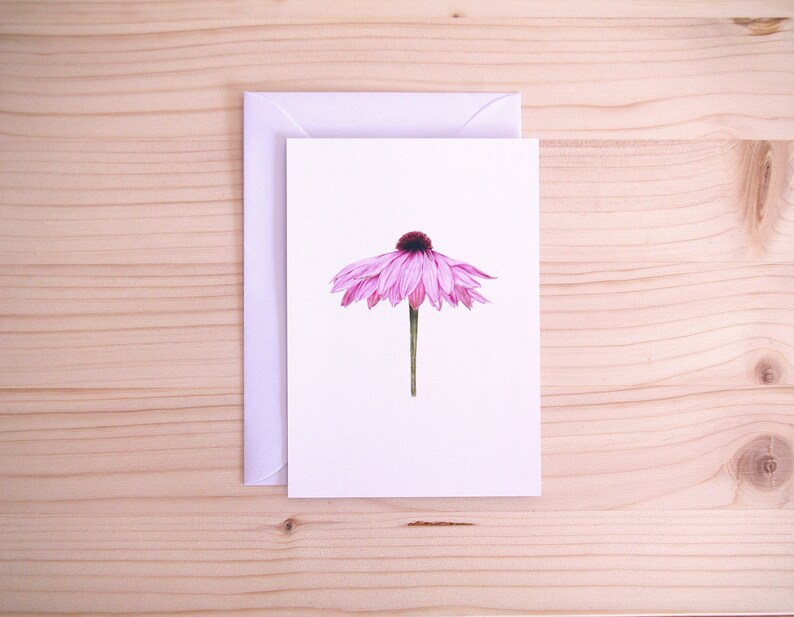 cartolina di fiori rosa | illustrazione della natura | | d'arte flora realistica fatta a mano | A6 Busta bianca immagine 1