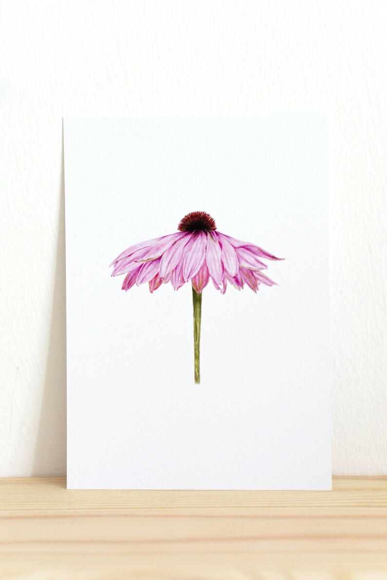 Pink Flower Postcard Nature Illustration Handmade Realistic Flora Art A6 White Envelope image 2