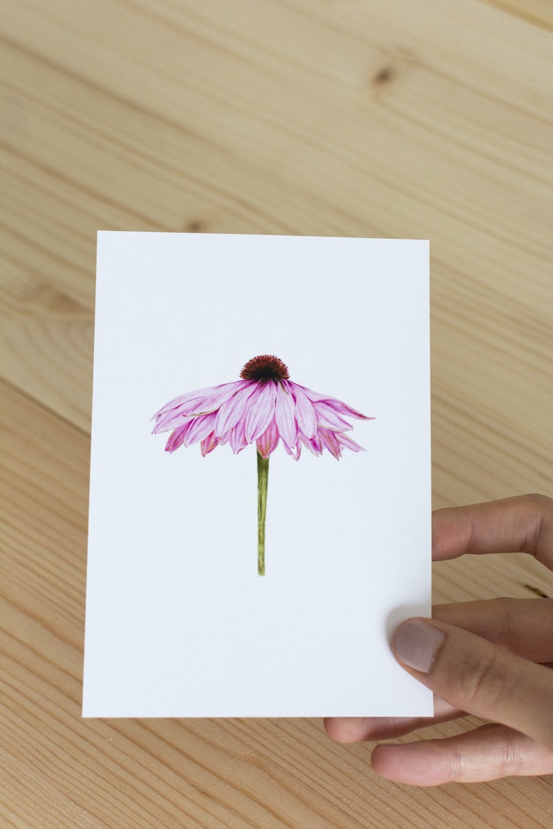 Pink Flower Postcard Nature Illustration Handmade Realistic Flora Art A6 White Envelope image 3