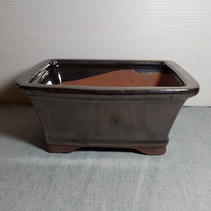 May include: A dark brown rectangular ceramic bonsai pot with a glazed finish. The pot has a slightly raised rim and four small feet.