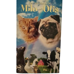 May include: A white ceramic mug with a black handle and the text "But First, Coffee" in a black, handwritten-style font. The mug is on a white surface.