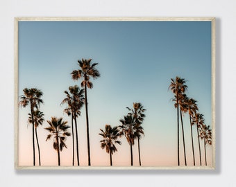 Sunny Palms Sunset Photograph California Tropical Summer Beach Palm Trees Blue Ocean at in San Diego