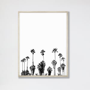 101 California Palms, Fotografía en blanco y negro, Grandes impresiones de arte, Fotografía de arte grande, Arte de pared grande, Arte de pared extra grande, Silueta