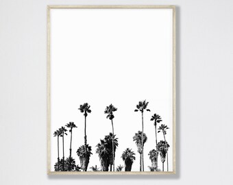 101 Californische palmen, zwart-wit fotografie, grote kunstafdrukken, grote kunstfotografie, grote kunst aan de muur, extra grote kunst aan de muur, silhouet