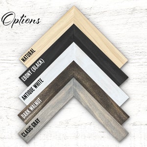 May include: Five wood samples stained in different colors: natural, ebony (black), antique white, dark walnut, and classic gray. The samples are arranged in a diagonal line, with the natural wood sample at the top and the classic gray sample at the bottom. The wood samples are all the same size and shape, and they are all cut at a 45-degree angle. The background is a white wooden surface.