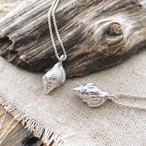 May include: Two silver seashell pendants on delicate chains. The pendants are highly detailed, with textured surfaces mimicking the natural forms of seashells. The necklaces rest on a piece of driftwood and a beige linen cloth.