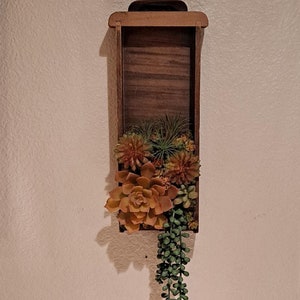 May include: A wooden wall planter with a variety of succulents, including a long trailing succulent.