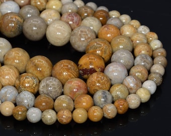 220054010 10mm White Fossil Jasper Beads Round Beads 10.5mm 15 Inch