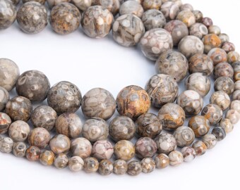 Genuine Natural Coral Fossil Jasper Loose Beads Gray Brown Round Shape 6mm 8-9mm 10mm