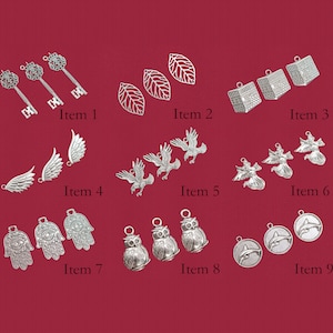 May include: Assortment of silver charm pendants featuring various designs, including keys, leaves, buildings, wings, owls, hamsa hands, and dolphins.
