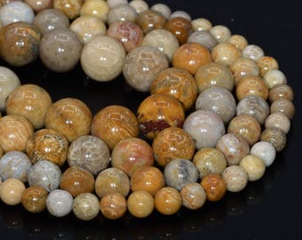 Genuine Natural Coral Fossil Jasper Loose Beads Grade A Round Shape 6mm 8mm 10mm 12mm