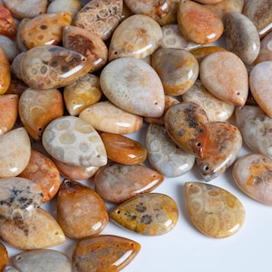 Peut inclure: Une collection de pierres de corail fossilisé polies en forme de larme dans des tons de brun, blanc et orange. Les pierres ont un motif unique et moucheté et sont parfaites pour la fabrication de bijoux ou l'artisanat.