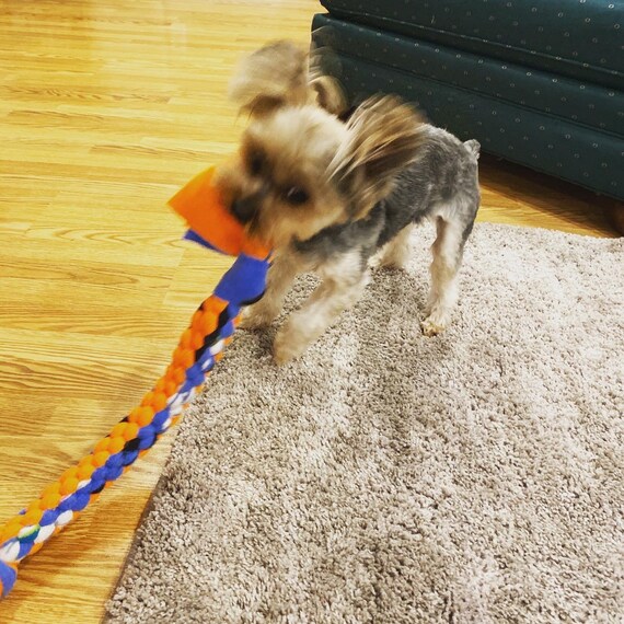 Are Fleece Dog Toys Safe