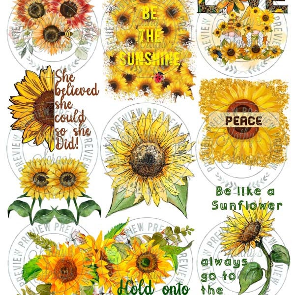 Sunflowers Set (pages 01, 02, 03)