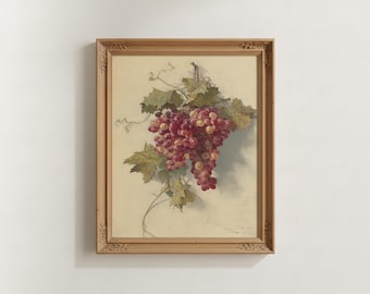 Vintage Grapes Still Life Botanical Print | Fruit Wall Art, Framed Kitchen Decor, Vineyard Aesthetic Gift, Realism Orchard Canvas