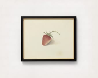 Minimalist Strawberry Botanical Print | Vintage Kitchen Wall Art, Red Berry Fruit Illustration, Aesthetic Cottagecore Decor Canvas