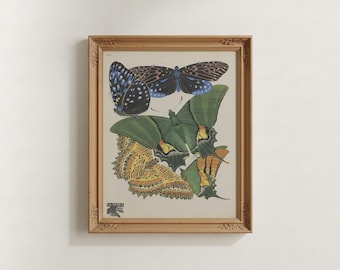 Lámina artística vintage de mariposas / Póster botánico de mariposas Papillons, polilla colorida antigua, ilustración científica, decoración de naturaleza, entomología de insectos