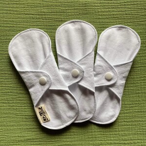 Packung mit 3 GRÜNEN Slipeinlagen und Tangaschonern