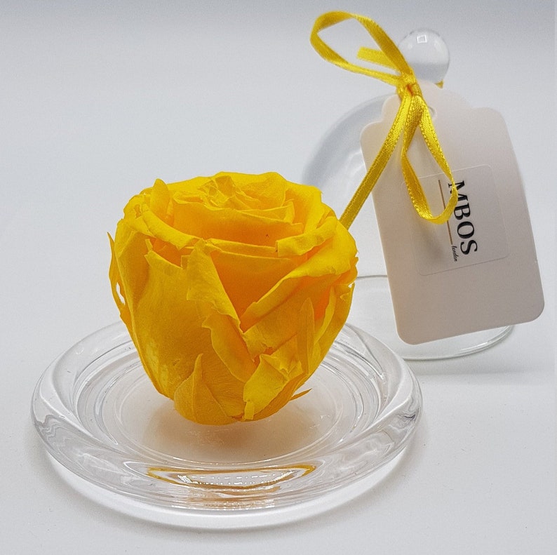 Yellow Preserved Rose in a Glass Dometimeless Rosegift for Etsy UK