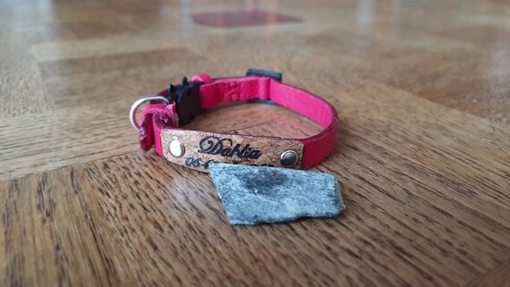 Collier Pour Chat 21 Cm En Cuir Avec Clips Etsy