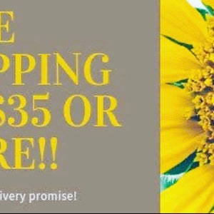 Free shipping on$35 or more!