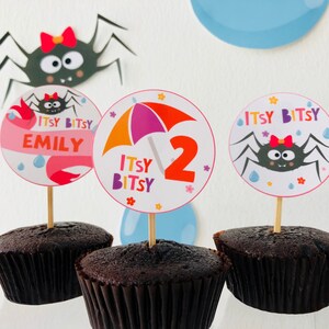 May include: Three chocolate cupcakes with decorative toppers. The toppers are round and feature a spider, an umbrella, and a spider with the text "Itsy Bitsy Emily" on the pink topper. The umbrella topper has the text "Itsy Bitsy 2" on it.