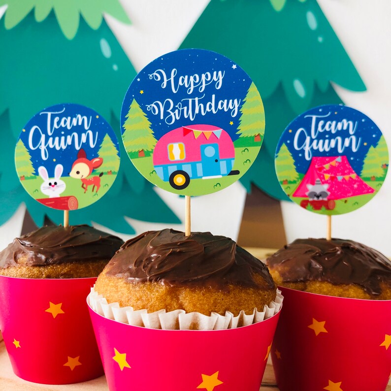 May include: Three cupcakes with chocolate frosting and pink cupcake liners with yellow stars. Each cupcake has a round paper topper with a camping theme. One topper says "Happy Birthday" with a camper van, another says "Team Quinn" with a deer and rabbit, and the last says "Team Quinn" with a tent and raccoon.