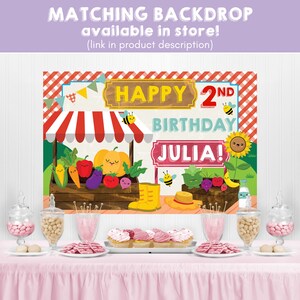 Farmers Market Party, Play Pretend for Classroom Play, Imaginative Play, Dramatic Play, Market Themed Birthday Party, Locally Grown Baby Shower Party, Fruits and Vegetables Market Decor, Country Farm Market Party