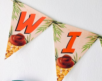 May include: A triangular banner with the word "WI" in orange letters. Each triangle features a brown fedora hat and a pattern of gold coins.