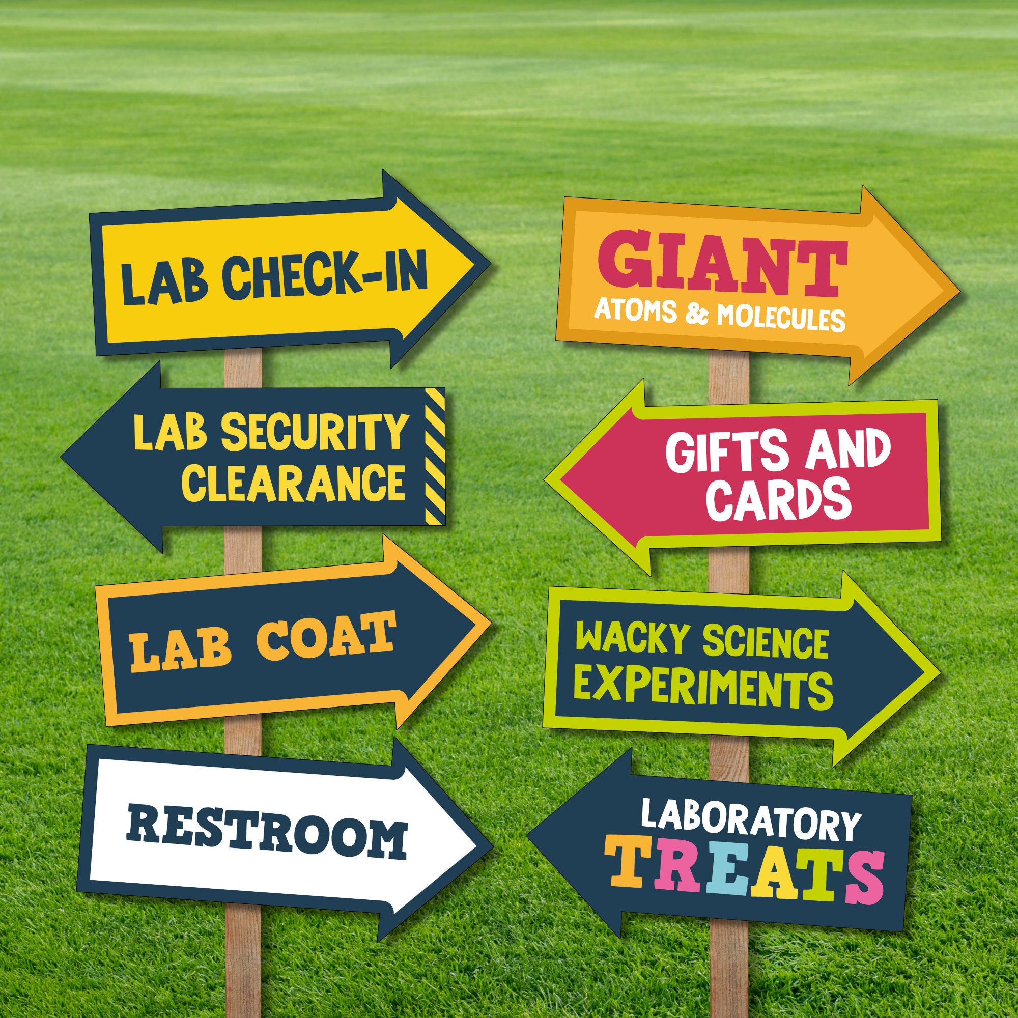 Mad Science Party Directional Signs/ Scientist Party Signs Party ...