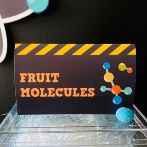 Mad Science Food Labels Editable Party Printables/ Scientist Party Food ...