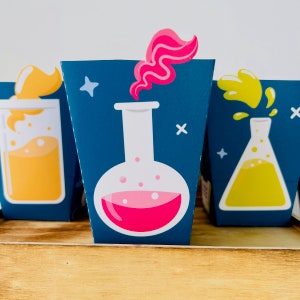 Mad Science Party Favor Boxes/ Scientist Science Lab Party Snack Box Printable