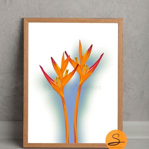 Heliconia Plant, Tropical Print, Flower Art, Floral Print, Botanical Artwork, Tropical Flowers, Art Poster Print