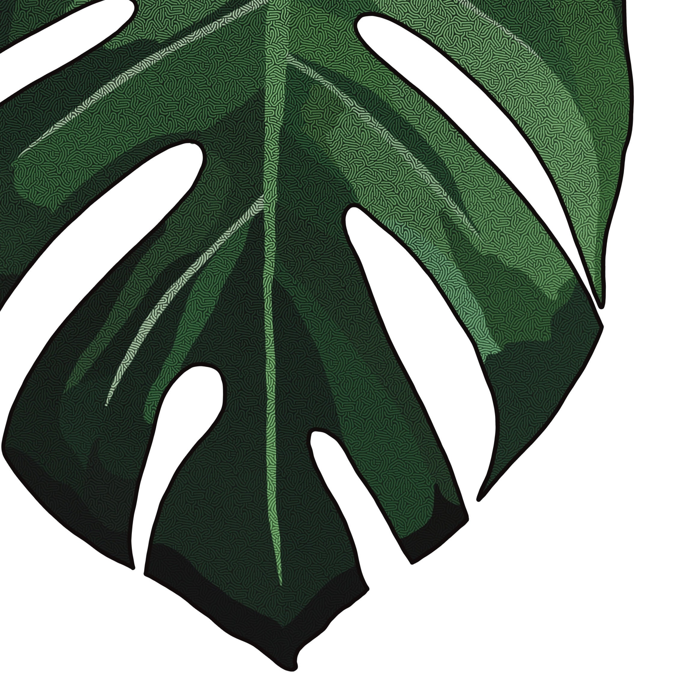Monstera Deliciosa Leaf Print Swiss Cheese Poster Etsy