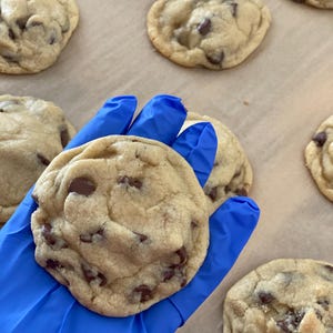 May include: Close-up of freshly baked chocolate chip cookies. The cookies are golden brown with visible chocolate chips. One cookie is held in a blue gloved hand, with several more cookies on a parchment paper.