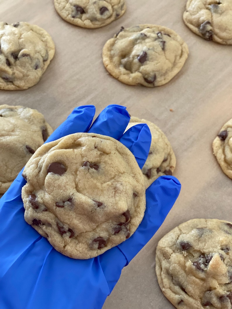 May include: Close-up of freshly baked chocolate chip cookies. The cookies are golden brown with visible chocolate chips. One cookie is held in a blue gloved hand, with several more cookies on a parchment paper.
