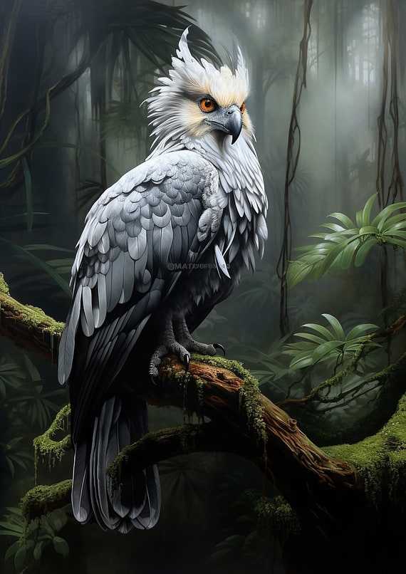 Harpy Eagle Bird Poster Bird Wall Art Digital Download Jungle Bird