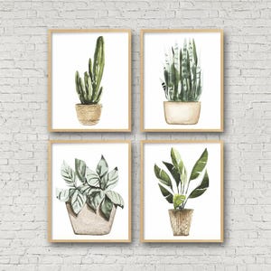 May include: Four framed watercolor prints of potted plants. The prints feature a cactus, snake plant, and two other leafy plants. The frames are light brown, and the background is a white brick wall.