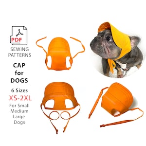 Könnte beinhalten: Eine orangefarbene Hundekappe mit Ohrenlöchern und Bändern, die in verschiedenen Ansichten gezeigt wird, darunter eine, die von einem Hund getragen wird. Das Bild enthält den Text "CAP for DOGS" und "6 Größen XS-2XL". Die Kappe ist für kleine, mittelgroße und große Hunde konzipiert.