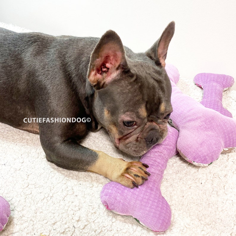 Dog Toy Sewing PDF Pattern, Soft Toy Pattern for Pet, DIY Dog Toys