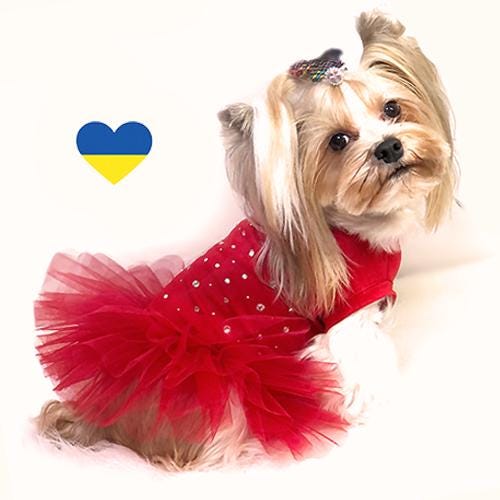 XSサイズ 小型犬用 猫用ハーネス＆リーシュ 縫製パターン | 背中8