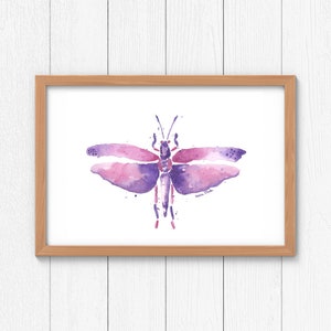 Butterfly Watercolor Print, Purple and pink Grasshopper Art, dragonfly print, hand painted watercolor art print, darning needle insect print