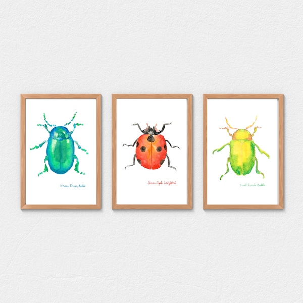 Set of 3 watercolor insects prints, Beetles and ladybird paintings, ladybug, insects wall art, nursery wall art, kids room decor, beetles