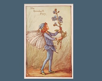 Cecily Mary Barker's Flower Fairies vintage print: The Speedwell Fairy