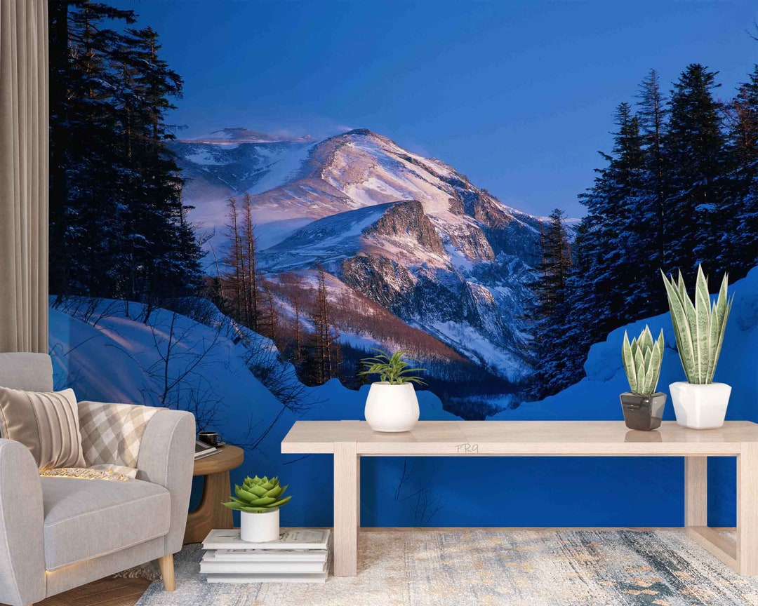 Snow Mountain Forest Scenery Wallpaper, 3D Peel and Stick Wall Mural - Etsy