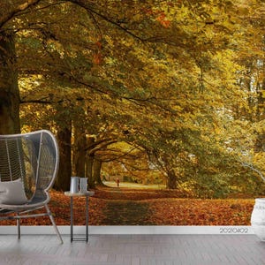 3D Fall Wallpaper, Forest Wall Mural, Tree Wall Decor, Landscape Wall Art, Peel and Stick, Removable Wallpaper, Wall Sticker