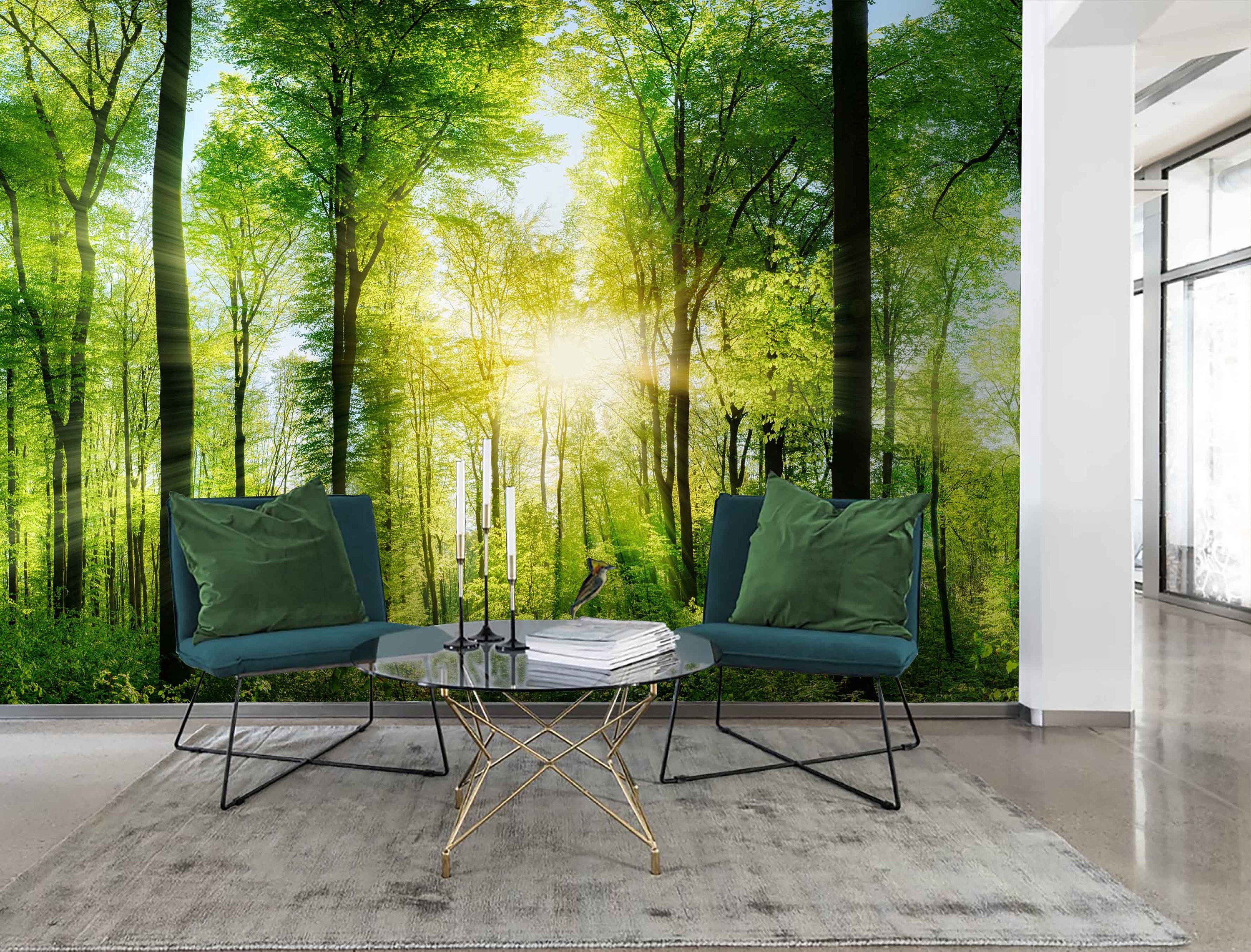 3D Forest Wallpaper Mural, Sunshine Scenery, Peel and Stick - Etsy