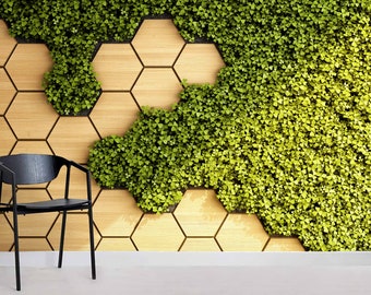 3D Hexagon Wallpaper, Wood Grain Wall Mural, Green Vegetation Wall Decor, Geometric Wall Art, Peel and Stick, Removable Wallpaper