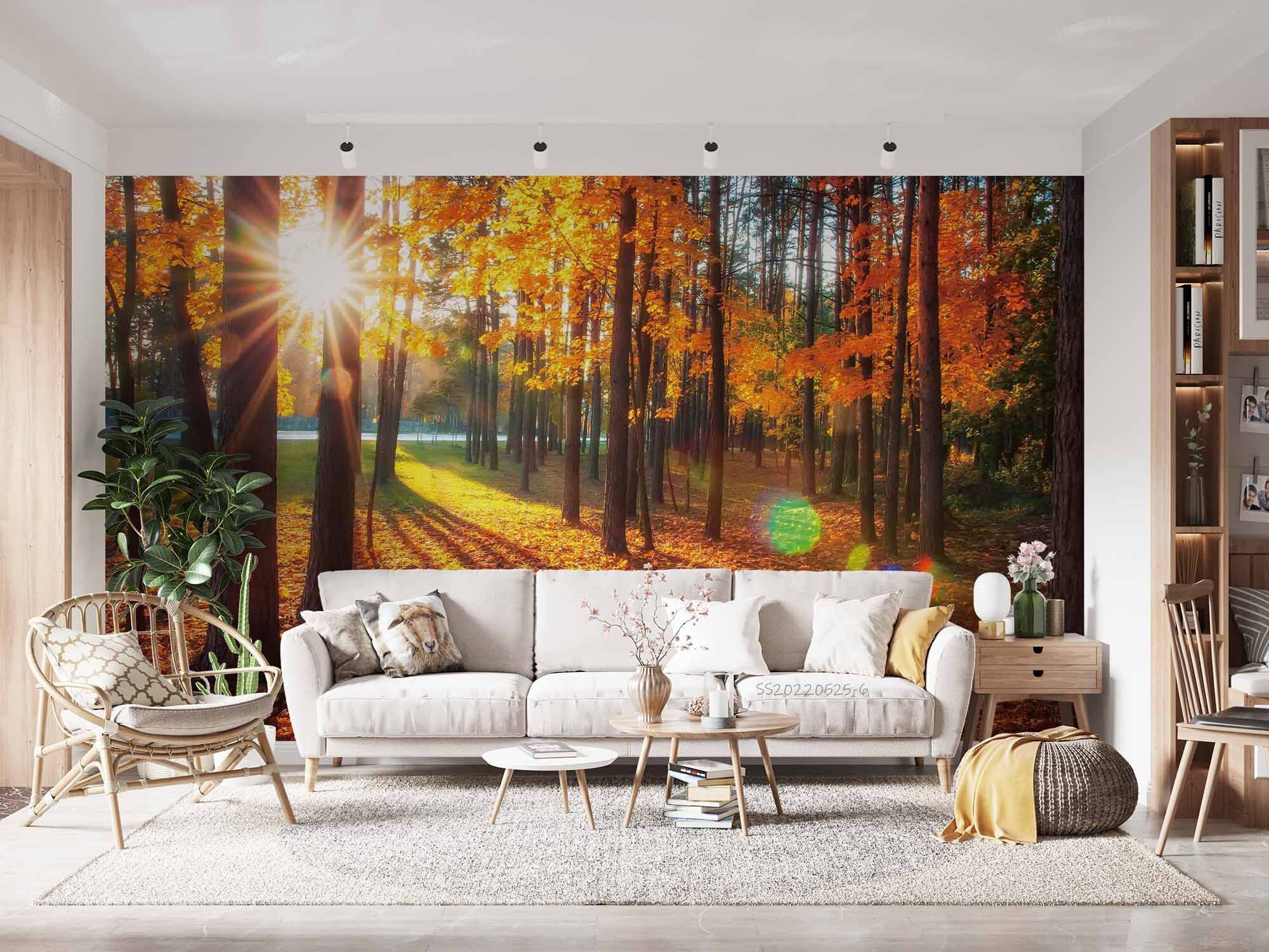 Autumn Forest Sunshine Peel and Stick Wallpaper Mural - Etsy