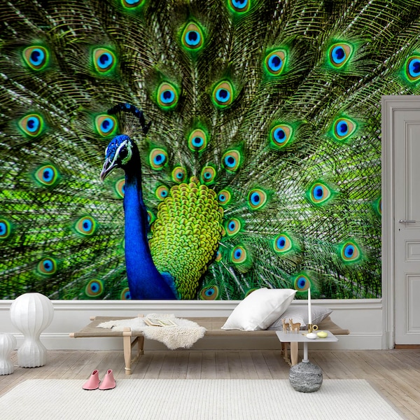 Vivid Where Can I Buy A Peacock Scene for Mobile Vivid Where Can I Buy A Peacock Scene for Mobile